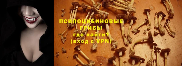 дживик Нязепетровск