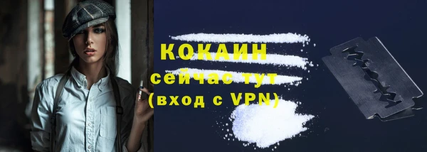mdpv Няндома