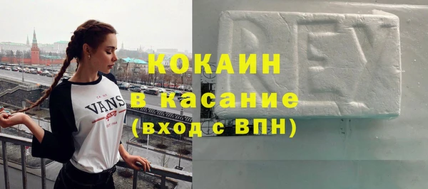 apvp Гатчина