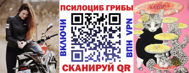 цены Калтан Галлюциногенные грибы Cubensis